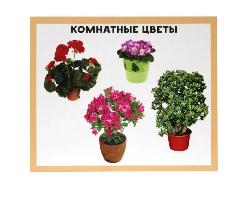 РАЗУМНЫЕ КАРТОЧКИ. МОЙ ДОМ