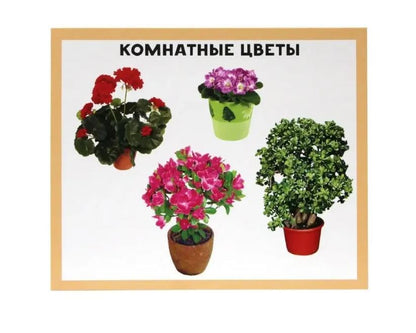 РАЗУМНЫЕ КАРТОЧКИ. МОЙ ДОМ