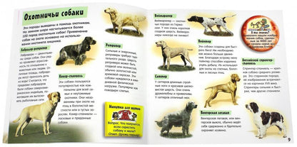 Прикольный подарок/Гав-шоу