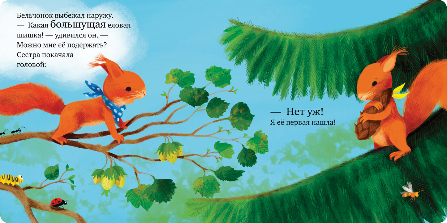 Книжки-картонки. Сердитый бельчонок/Райдер К.