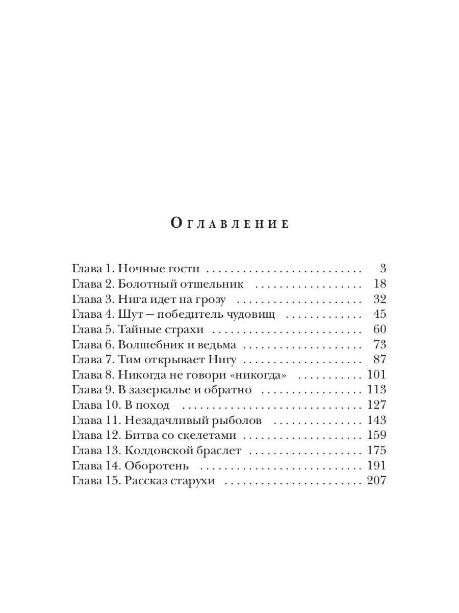 Зеркало старой ведьмы. Кн. 2