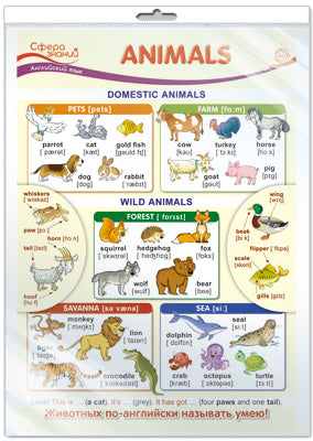 *ПО-13437 ПЛАКАТ А3 В ПАКЕТЕ. Animals (Животные). Английский язык в начальной школе (в индивидуальной упаковке с европодвесом и клеевым клапаном)