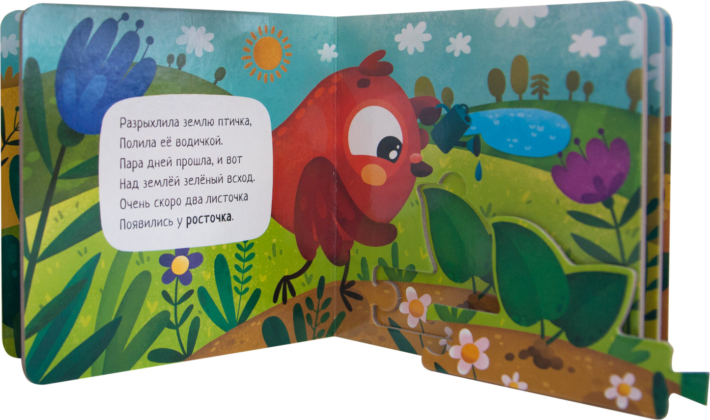 Собери цепочку. Как растет подсолнух