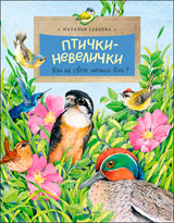 Птички-невелички. Кто на свете меньше всех?