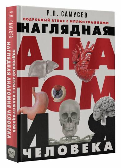 Наглядная анатомия человека. Подробный атлас с иллюстрациями