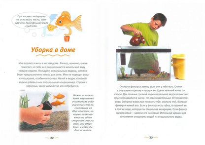 Аквар.Давай дружить! Золотая рыбка