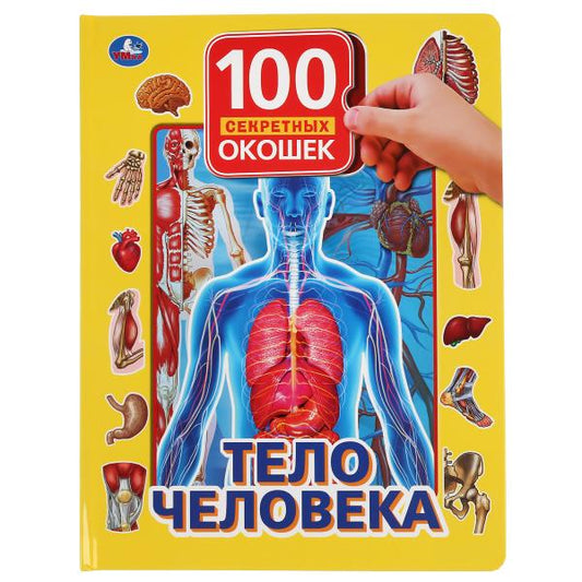 "УМКА". ТЕЛО ЧЕЛОВЕКА. 100 ОКОШЕК ДЛЯ МАЛЫШЕЙ. ФОРМАТ: 222Х282 ММ. ОБЪЕМ: 12 КАРТ. СТР. в кор.12шт