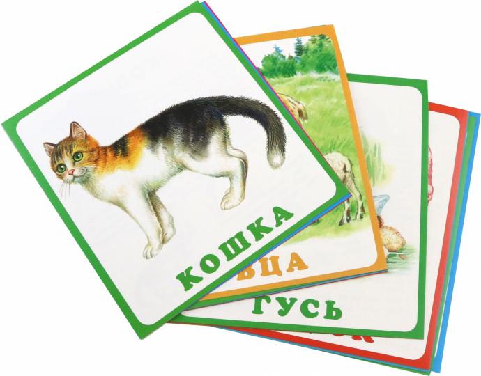 Домашние животные (20 карточек с европодвесом)