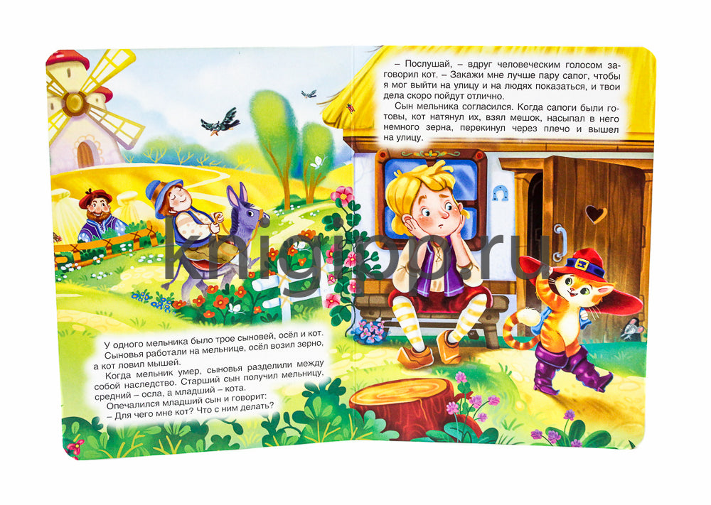 ЦК. КОТ В САПОГАХ (новая)