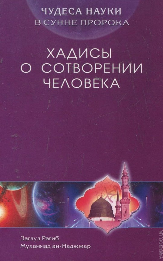 Хадисы о сотворении человека. Чудеса науки в Сунне Пророка