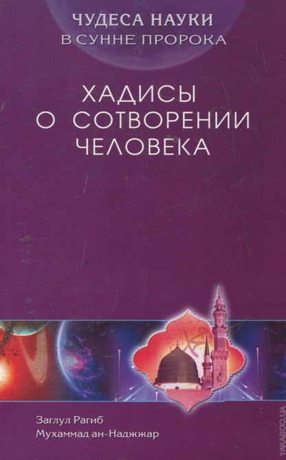 Хадисы о сотворении человека. Чудеса науки в Сунне Пророка
