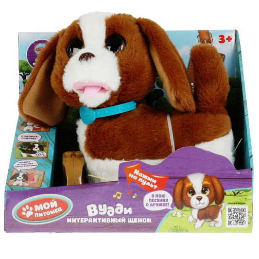 Le moteur d'entraînement vidéo de 22 cm sur le haut de la maison est placé dans le ciel. МОЙ ПИТОМЕЦ в кор.12шт