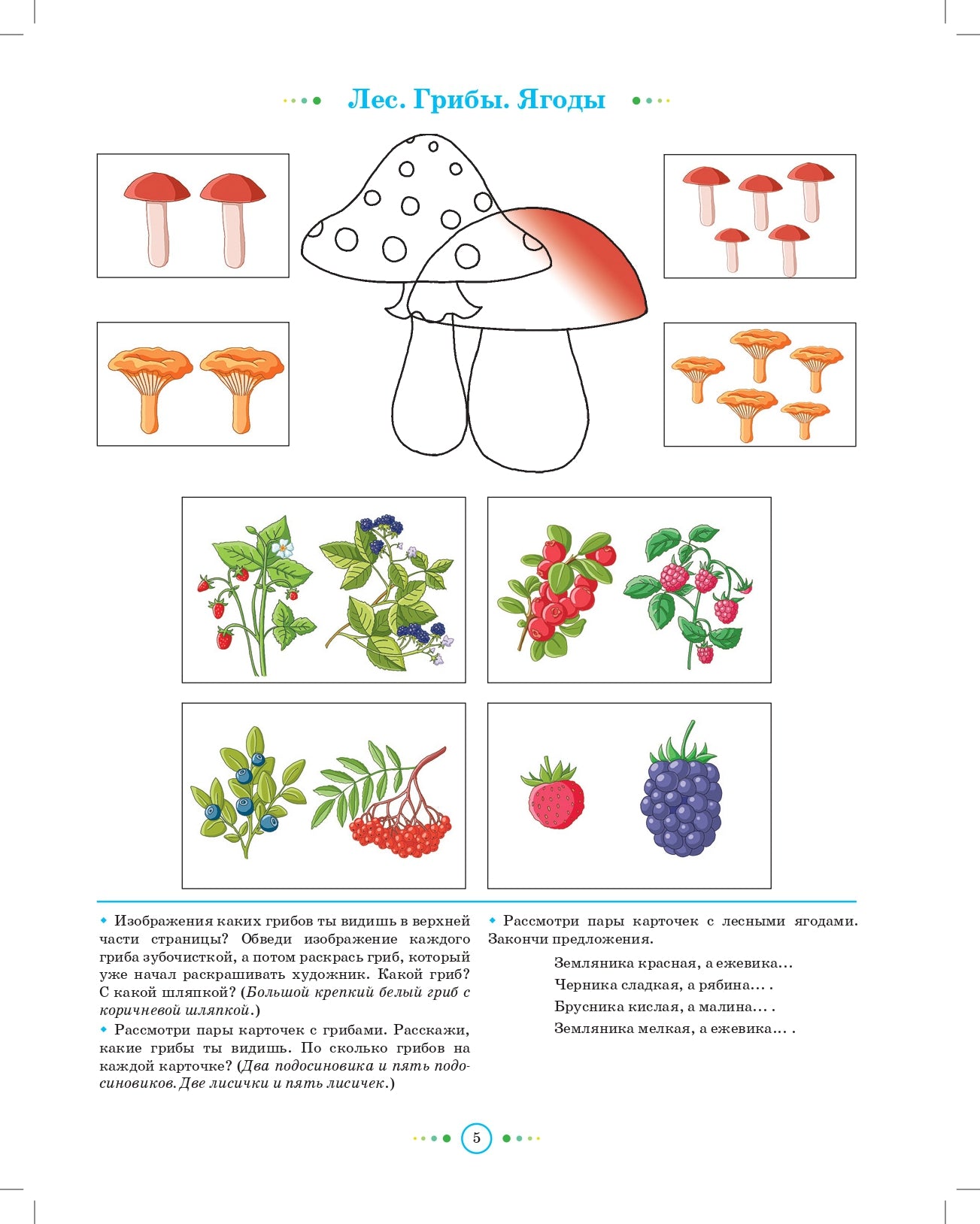 Нищева. Тетрадь для детей старшего дошкольного возраста с ОНР. 5-6 лет. Старшая группа. (цветная) ФАОП. (ФГОС)
