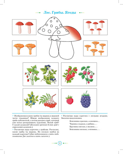 Нищева. Тетрадь для детей старшего дошкольного возраста с ОНР. 5-6 лет. Старшая группа. (цветная) ФАОП. (ФГОС)