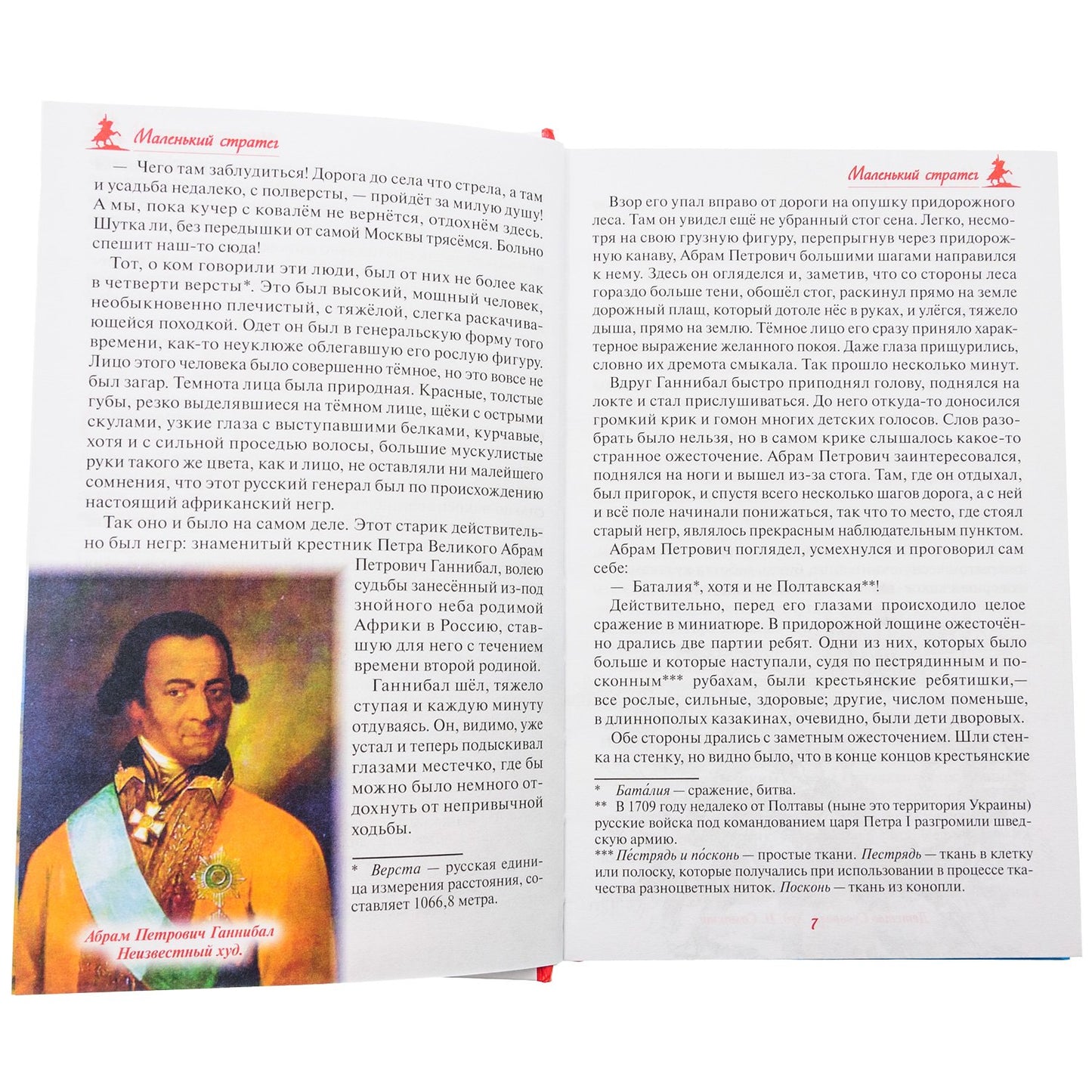 Русский чудо-вождь. Граф Суворов-Рымникский, князь Италийский, его жизнь и подвиги