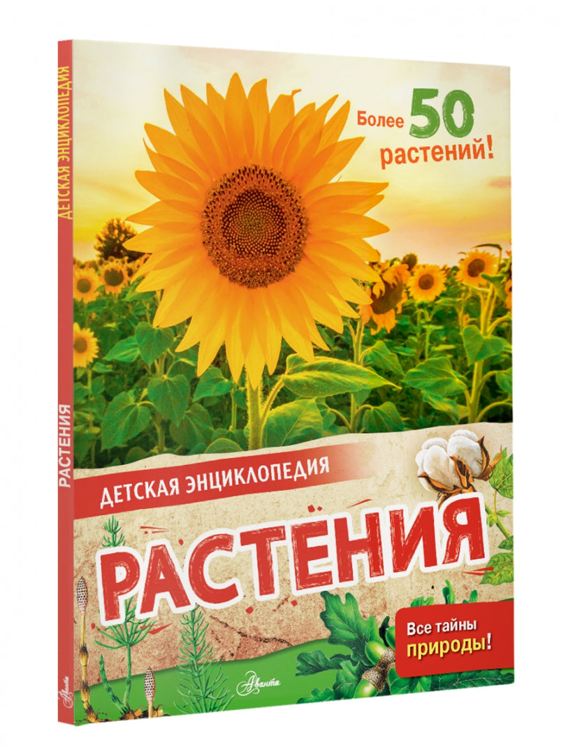 Растения