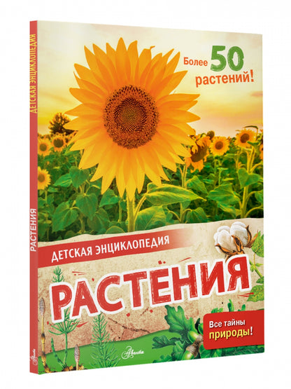 Растения