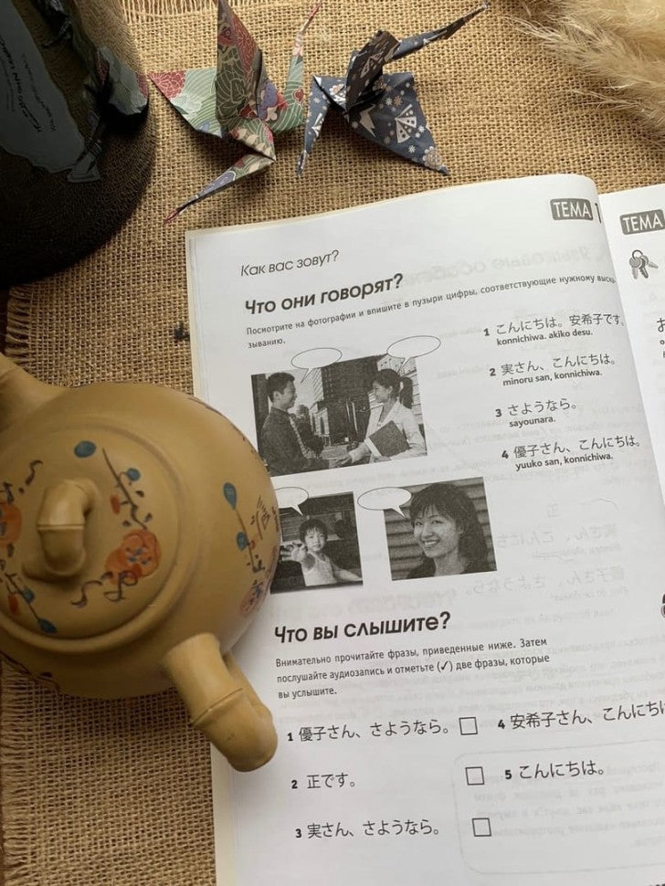 Читаем и говорим по-японски. Курс для начинающих / Read & Speak Japanese: for Beginners
