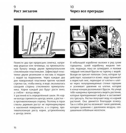 Занимательная наука. Более 400 экспериментов и наблюдений за природой /