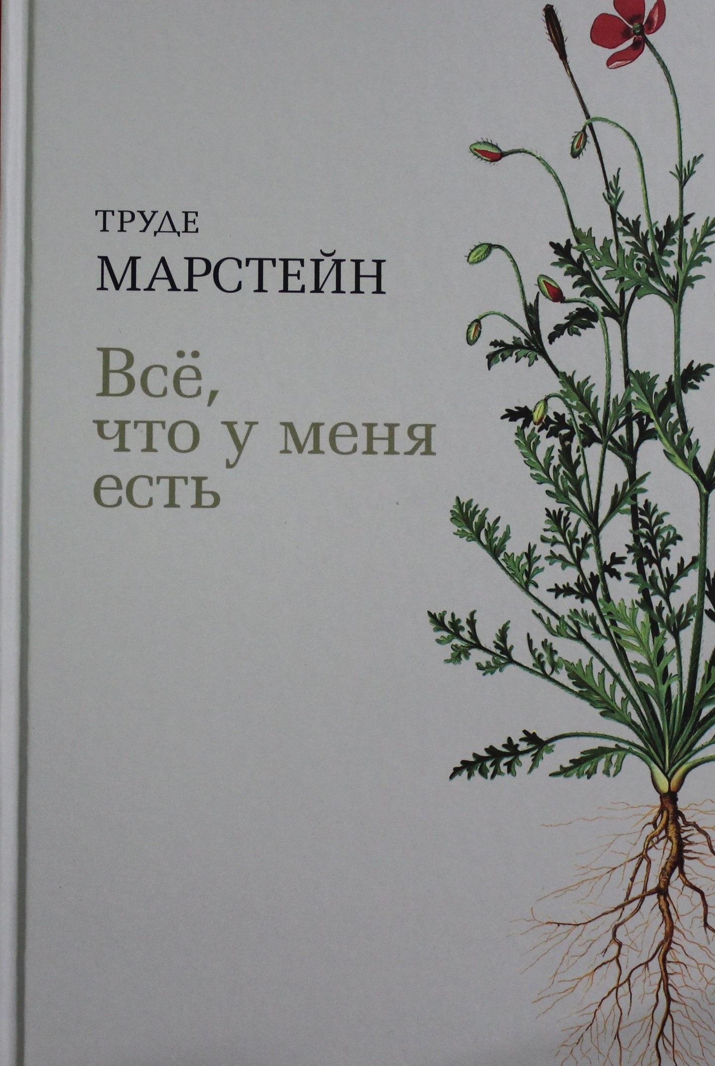 Все, что у меня есть: роман