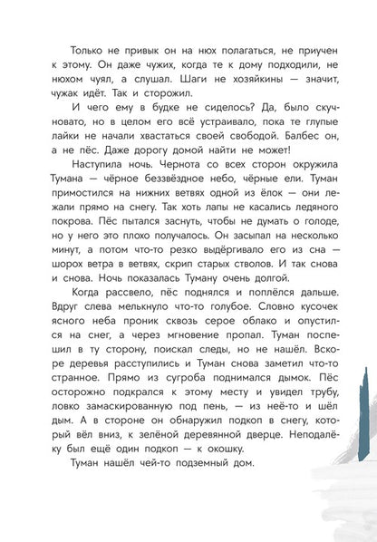 Туисова. Пес Туман и лучший Новый год