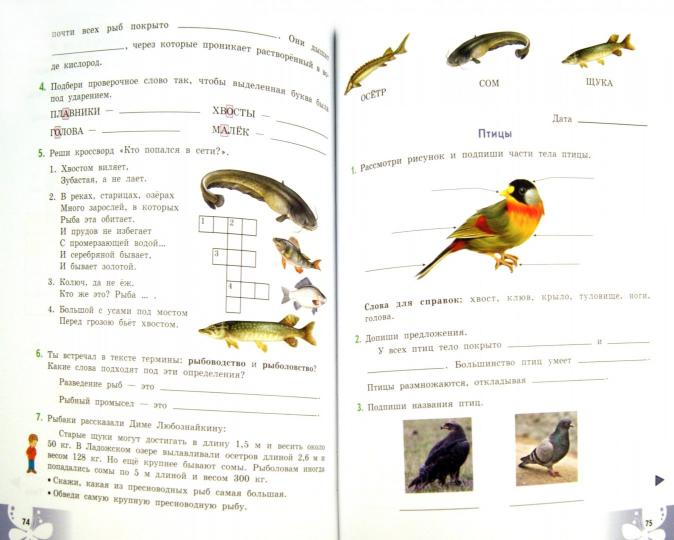 Лифанова. Природоведение. 5 кл. Рабочая тетрадь. /обуч. с интеллектуальными нарушениями/ (ФГОС ОВЗ)