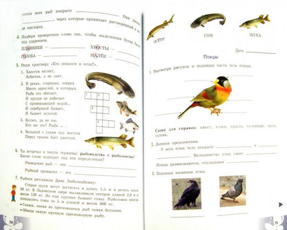 Лифанова. Природоведение. 5 кл. Рабочая тетрадь. /обуч. с интеллектуальными нарушениями/ (ФГОС ОВЗ)