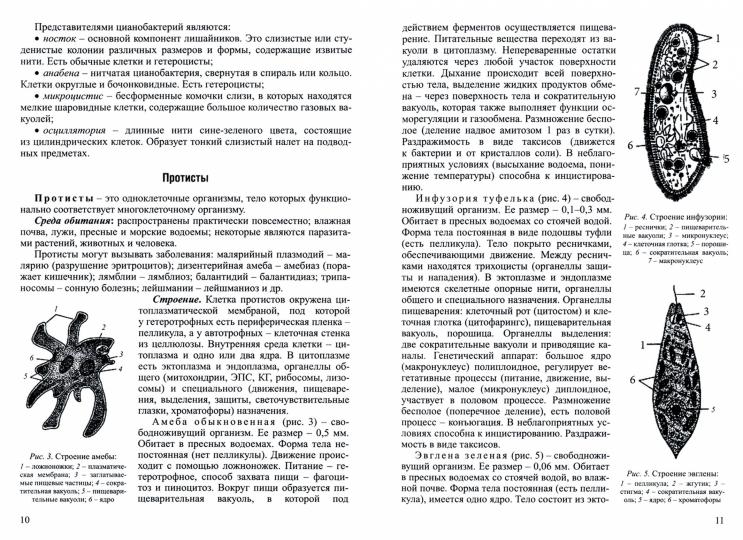 Биология. Интенсивный курс Учебные пособия по Биологии автор Заяц Р.Г. .(изд-во Кузьма Трейд - Принтбук)