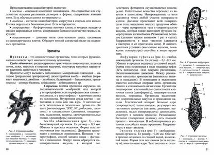 Биология. Интенсивный курс Учебные пособия по Биологии автор Заяц Р.Г. .(изд-во Кузьма Трейд - Принтбук)