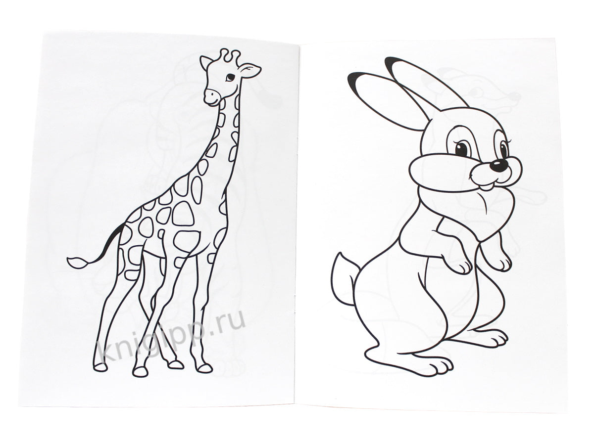 РАСКРАСКА А4 эконом. ЗООПАРК