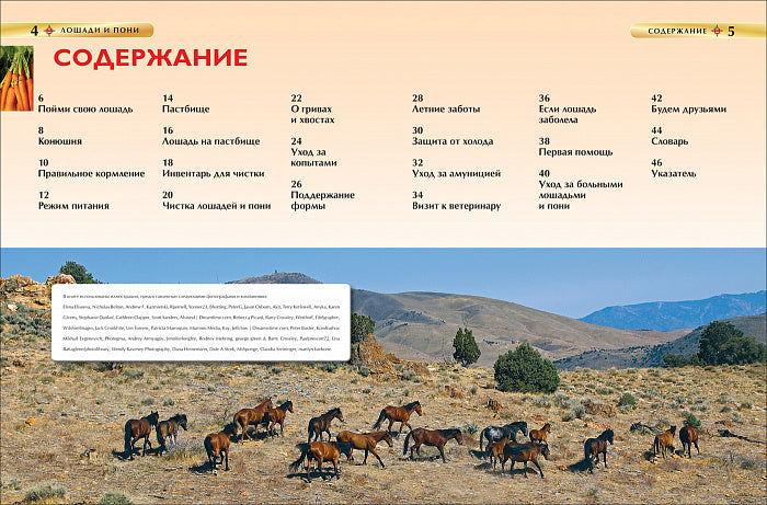 Лошади и пони. Детская энциклопедия