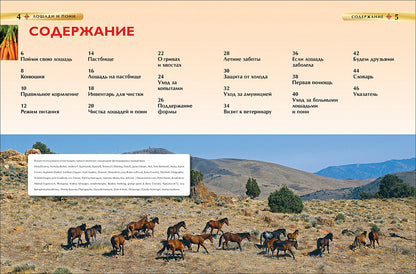 Лошади и пони. Детская энциклопедия