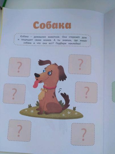 Животные: книжка с накл.