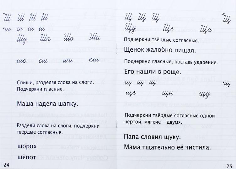 Русский язык. 1 кл. Тренажер для закрепления учебного материала. (ФГОС) /Варовская.