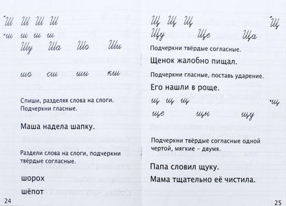 Русский язык. 1 кл. Тренажер для закрепления учебного материала. (ФГОС) /Варовская.
