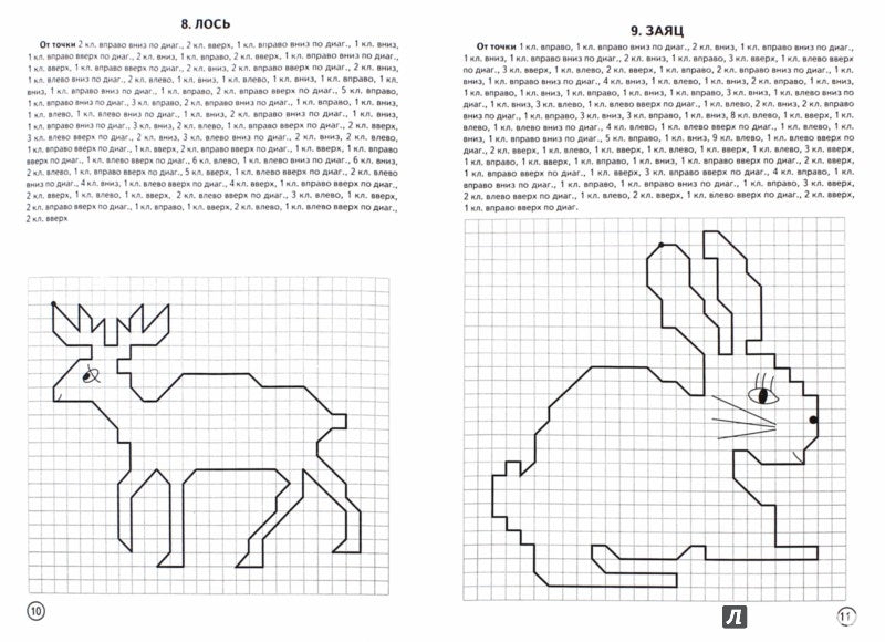 Графические диктанты.Дикие животные