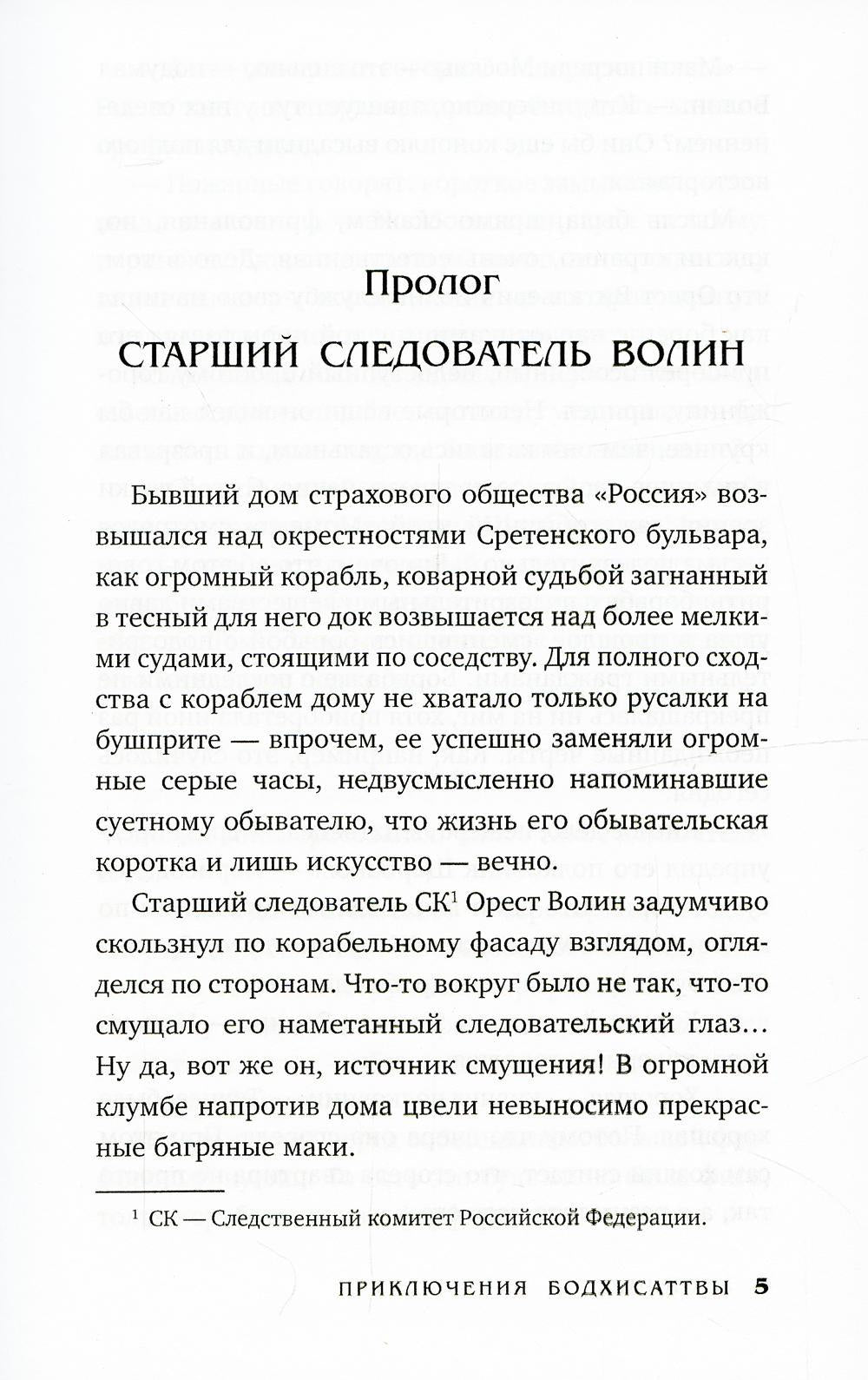 Приключения бодхисаттвы: роман