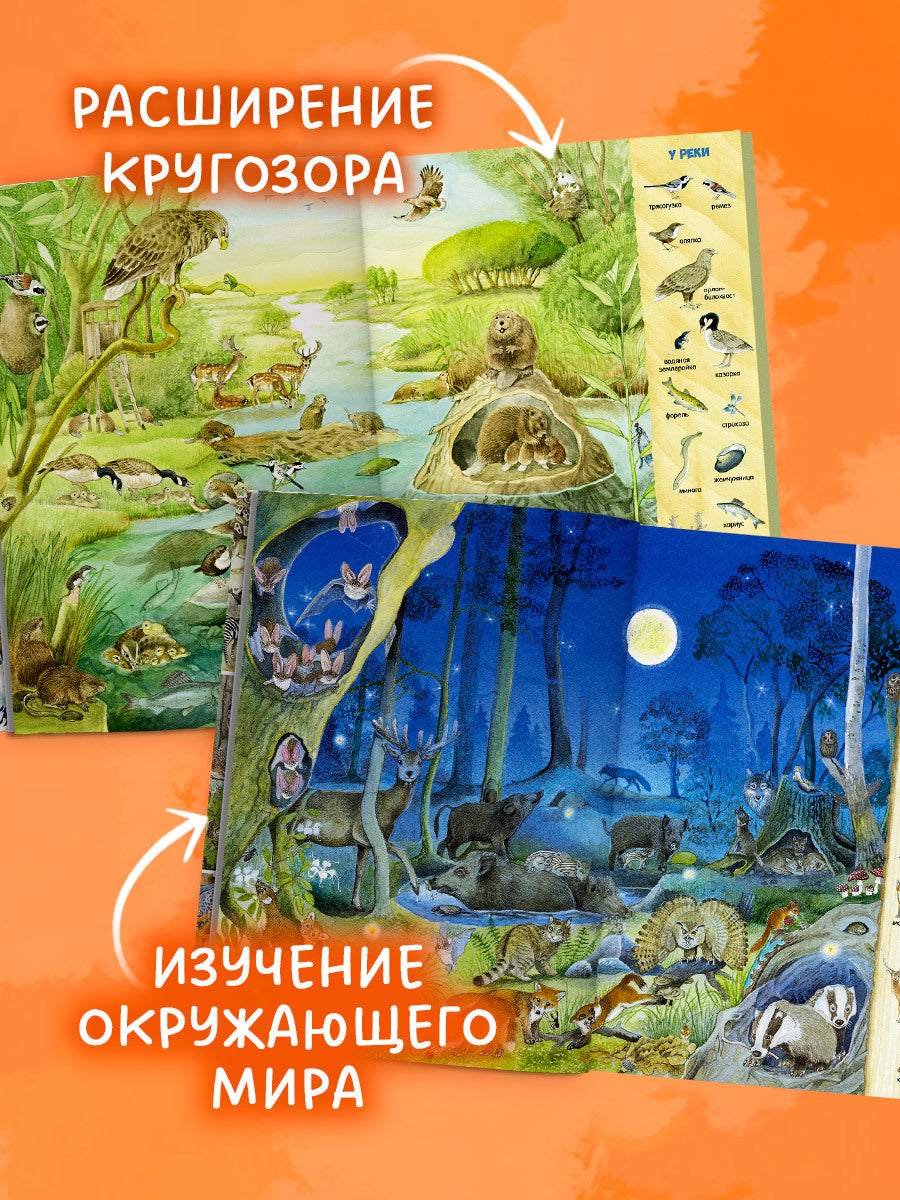 Найди и покажи. Найди и покажи. 1000 животных