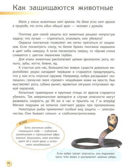 Пізнаємо та досліджуємо: Животный мир (р)