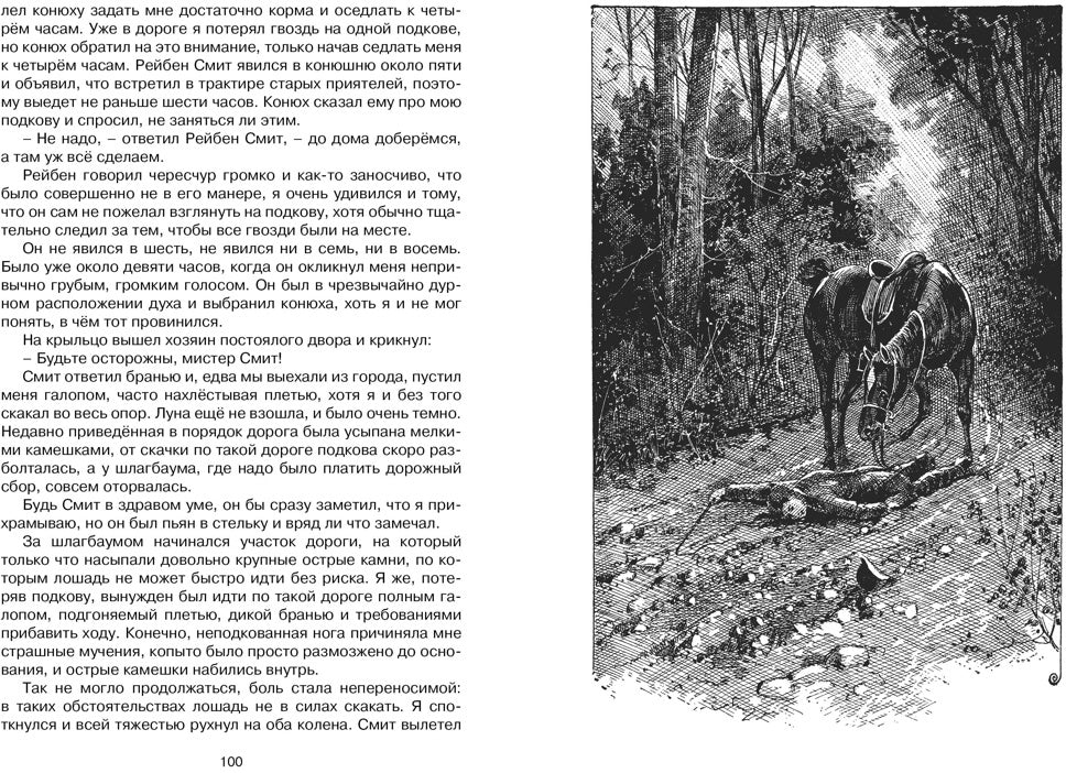 Чёрный Красавчик