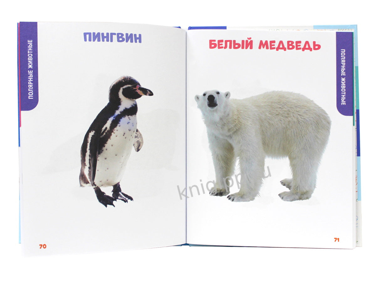 ГЛАВНАЯ КНИГА МАЛЫША. ЖИВОТНЫЕ НАШЕЙ ПЛАНЕТЫ