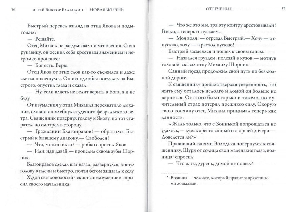Новая жизнь. Повесть
