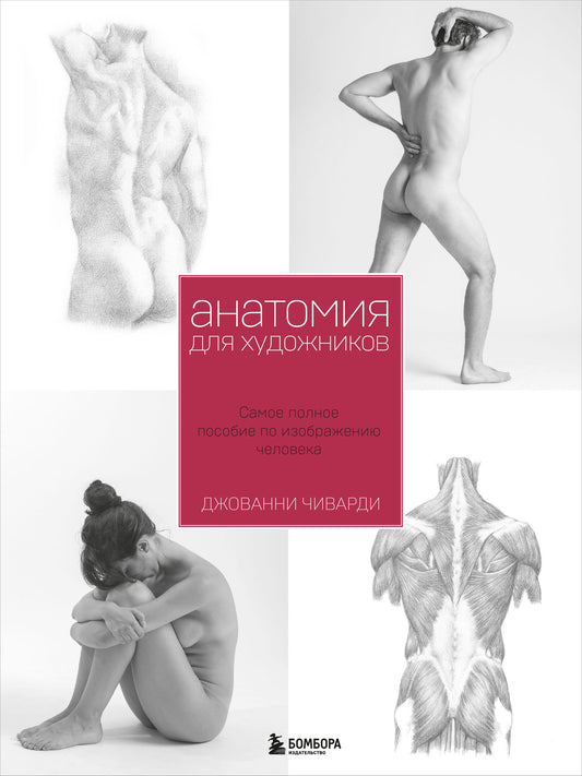 Анатомия для художника. Самое полное пособие по изображению человека