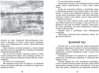 Лисичкин хлеб