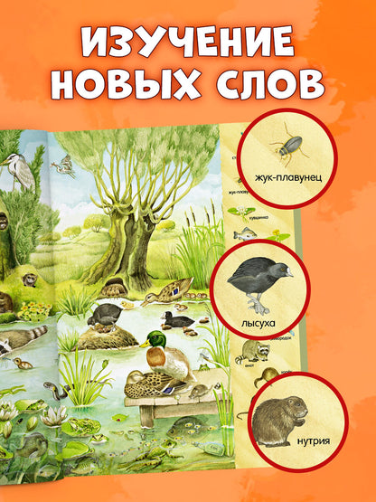Найди и покажи. Найди и покажи. 1000 животных