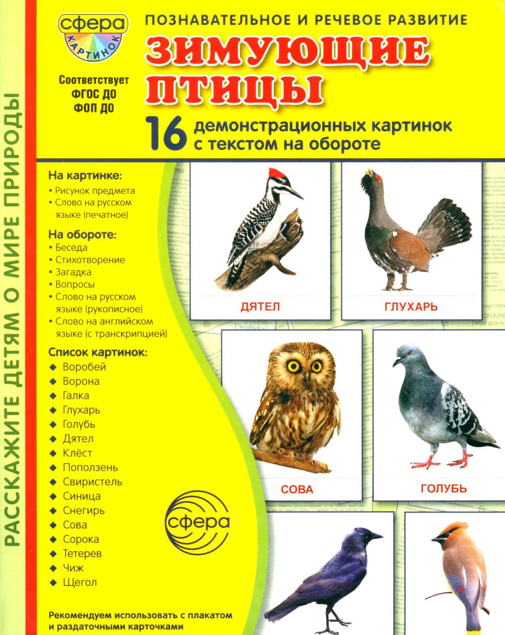 Дем. картинки СУПЕР Зимующие птицы. 16 демонстрационных картинок с текстом В ПАПКЕ (173х220 мм)