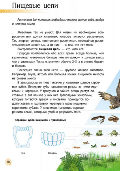 Пізнаємо та досліджуємо: Животный мир (р)