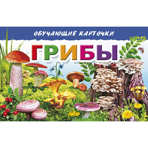Карточки. Грибы ; Карточки. Грибы