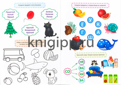 ТРЕНАЖЁР ПО РУССКОМУ 5+
