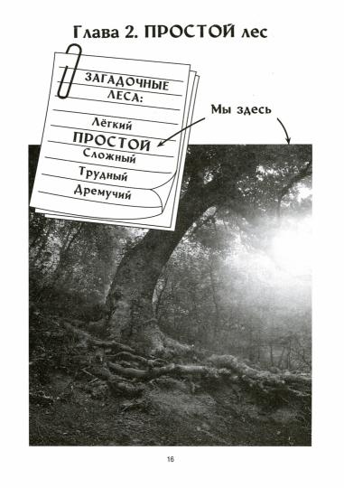 Развивающие вопросики:самый простой глобал.тест для млад.дошкол.